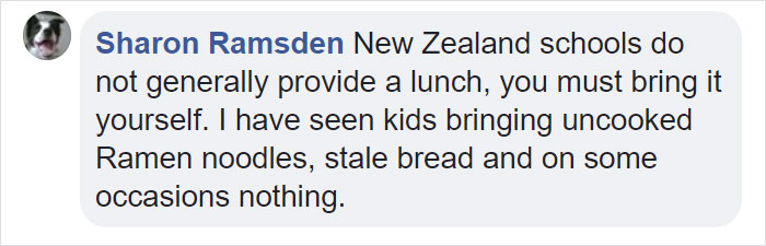 School lunches comment
