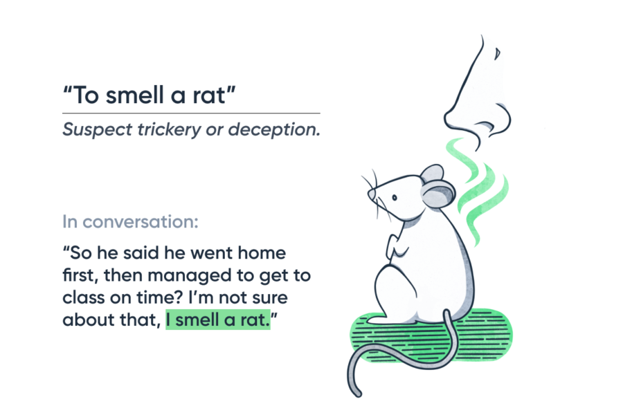 Idiom To smell a rat