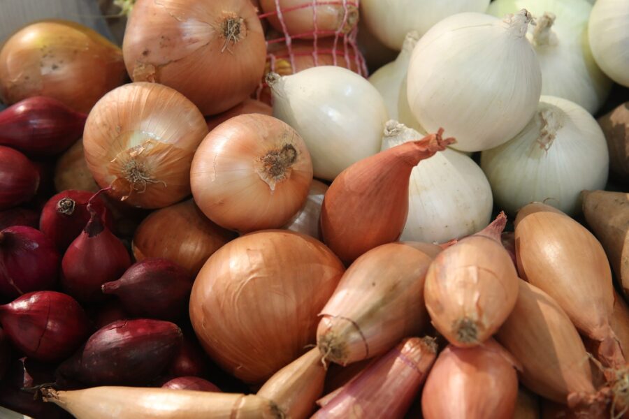 Plant Onion Food Vegetable Shallot 