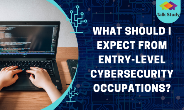 What Should I Expect from Entry-Level Cybersecurity Occupations?